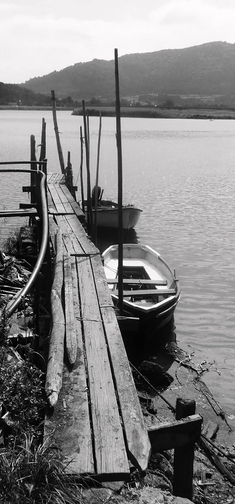 Muelle