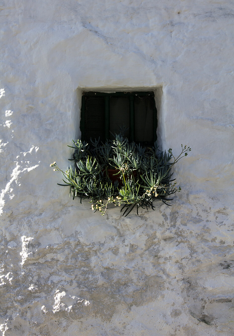 Ventanica