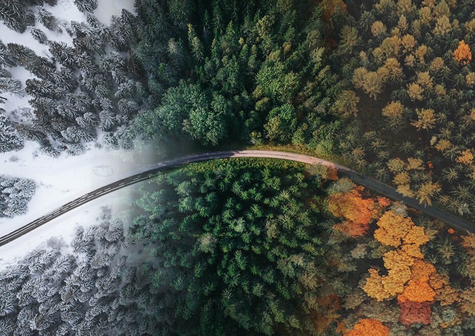 Estacional