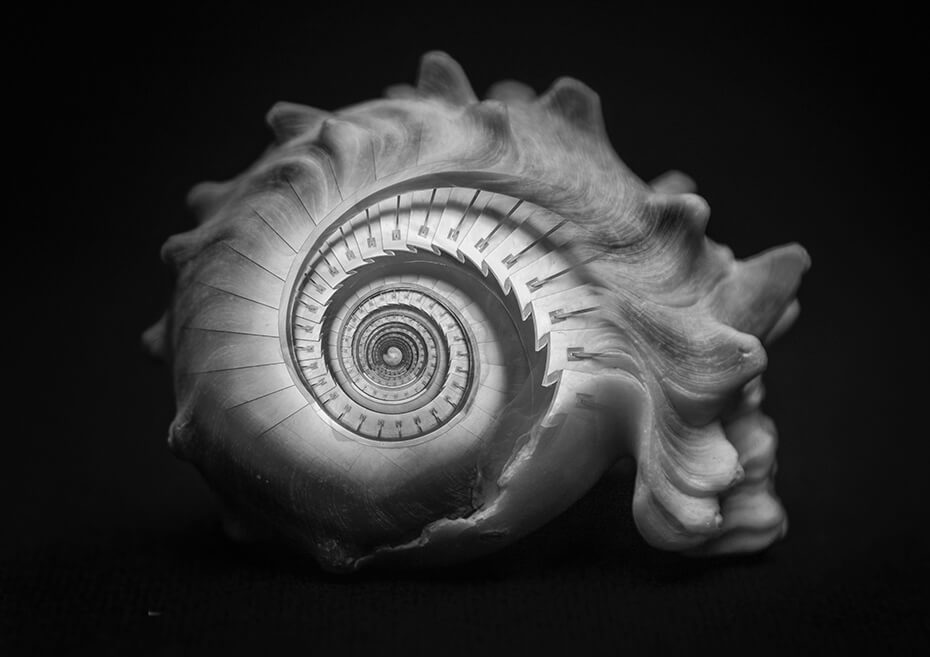 Caracola