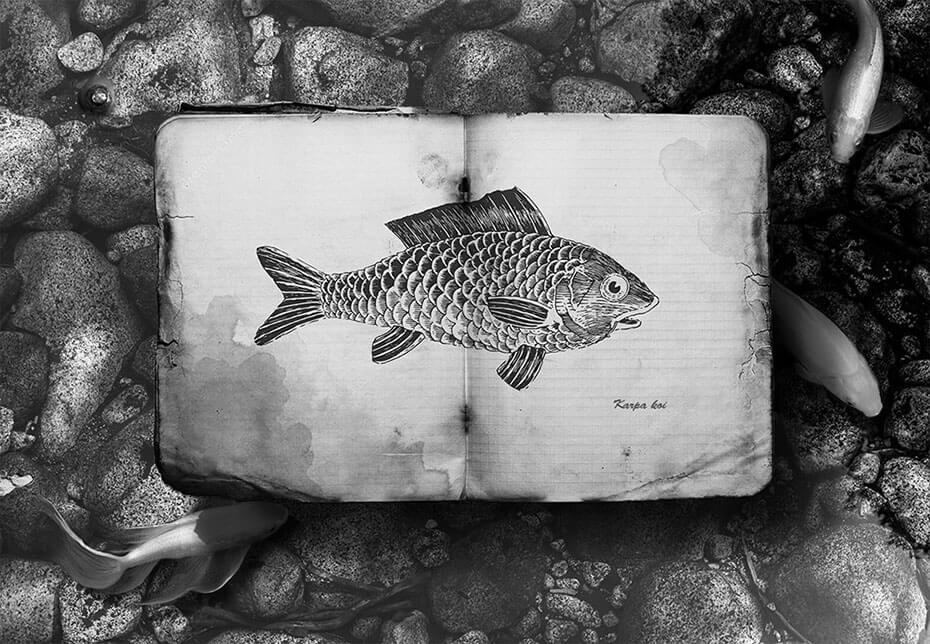 Peces