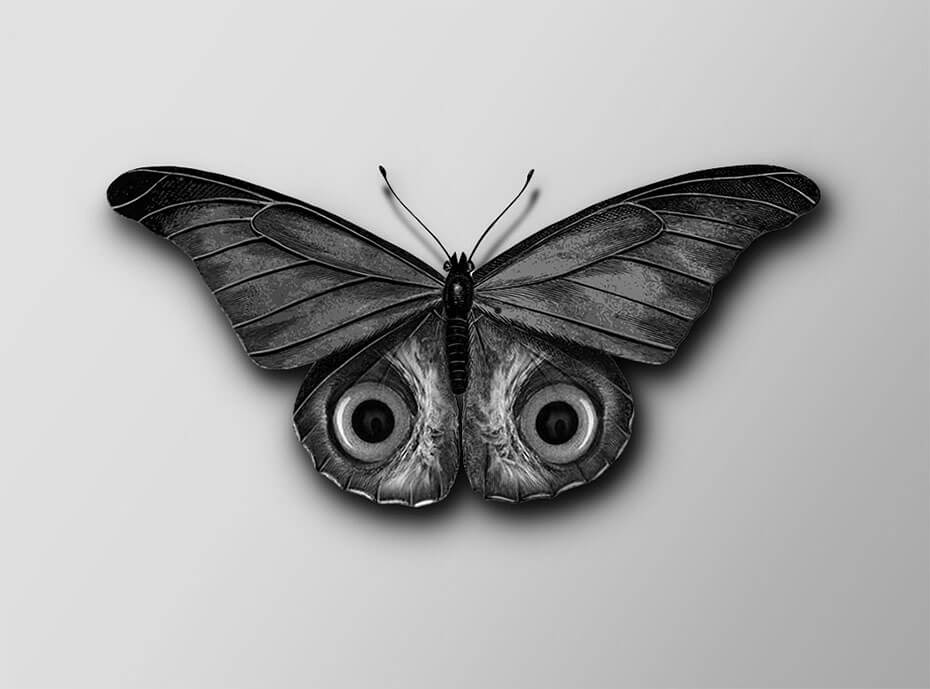 Ojos