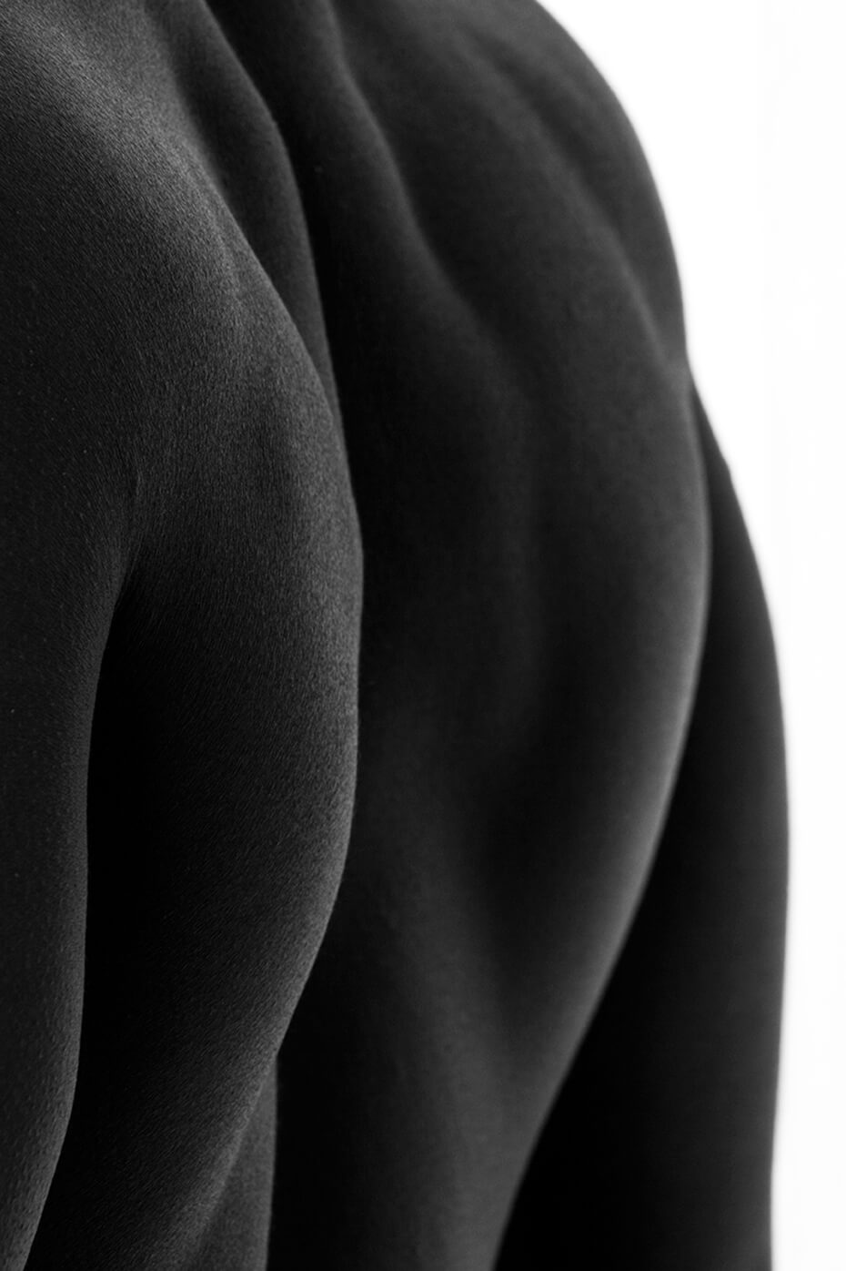 Torso