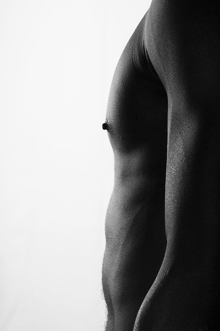 Torso