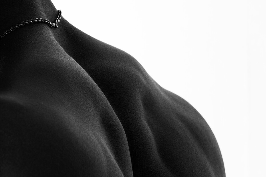 Torso