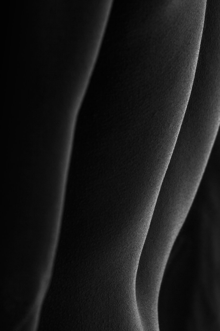 Torso