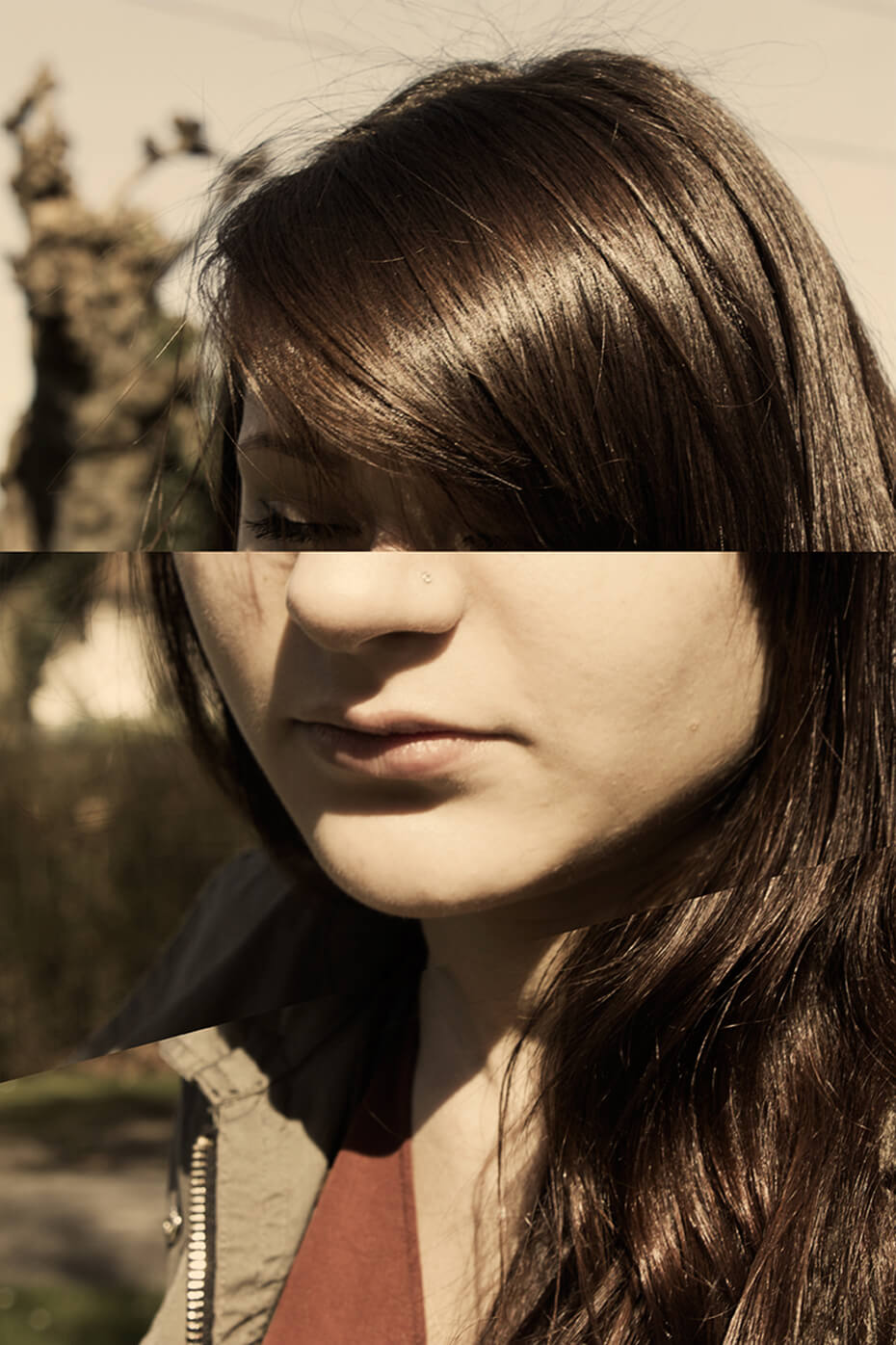 Corte