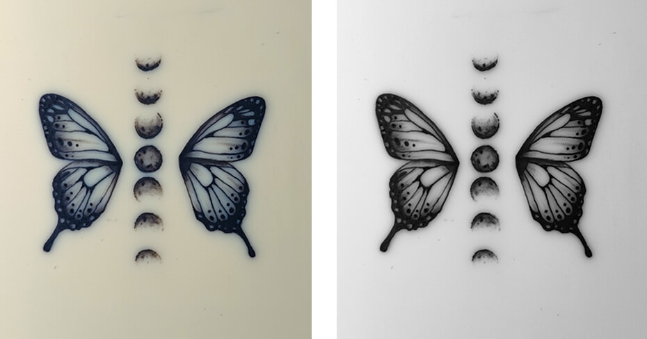 Mariposa alunada