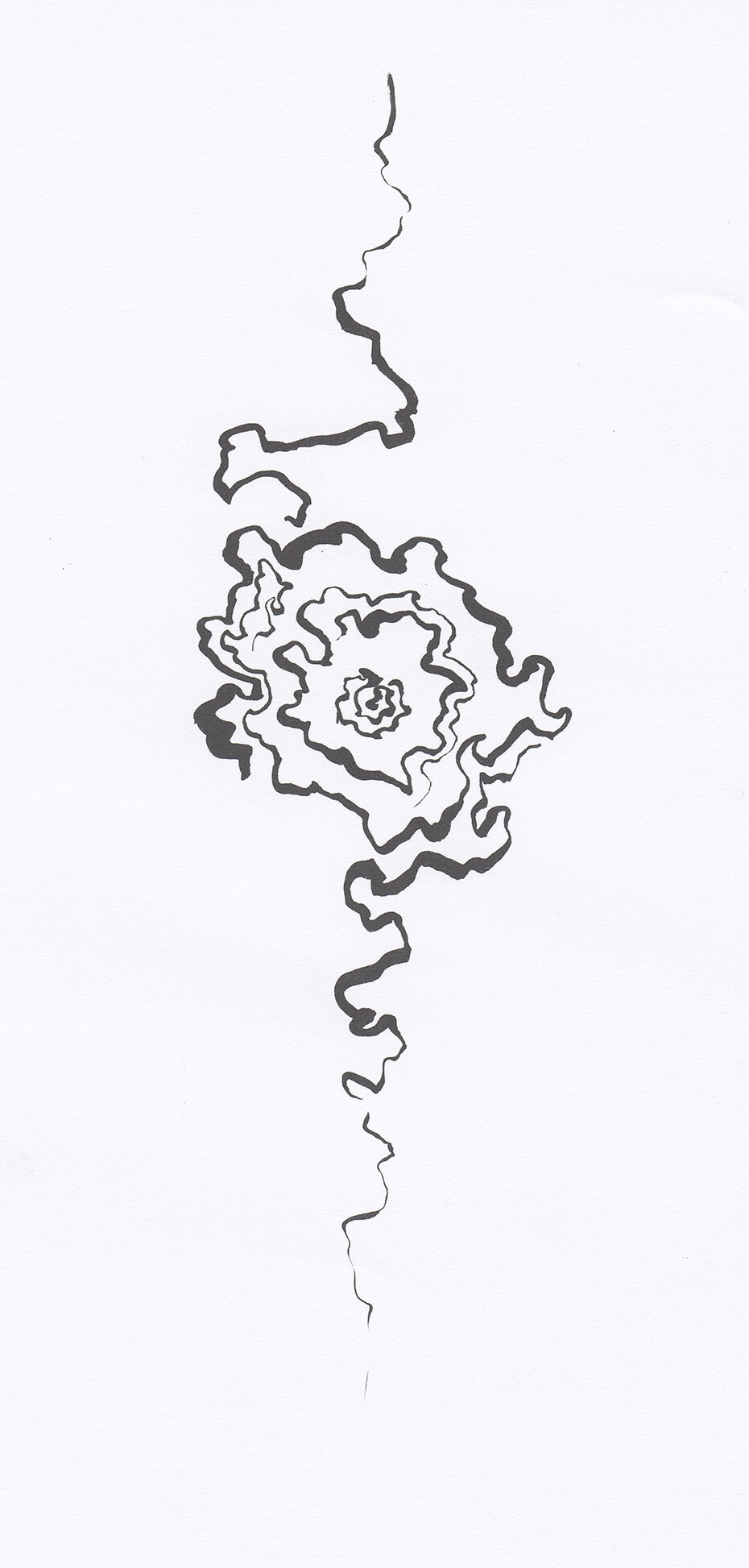Sucumbida