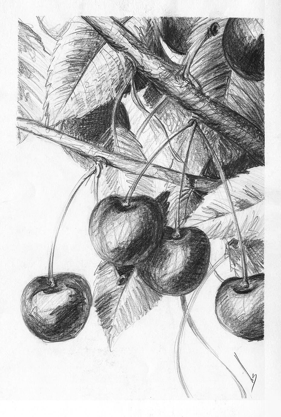 Cerezas