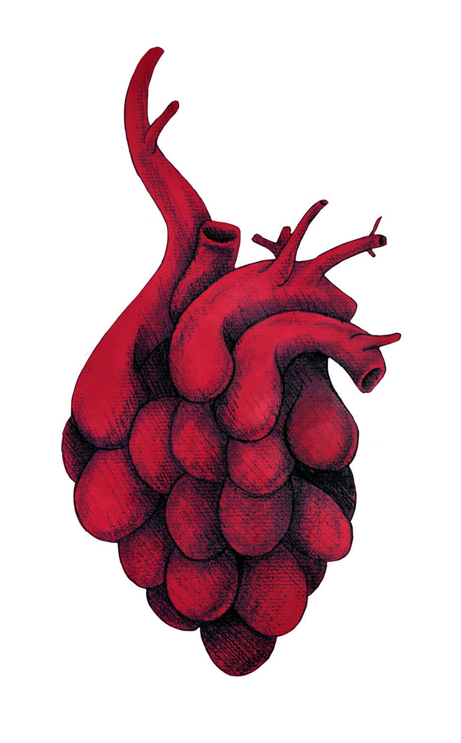 Corazuva