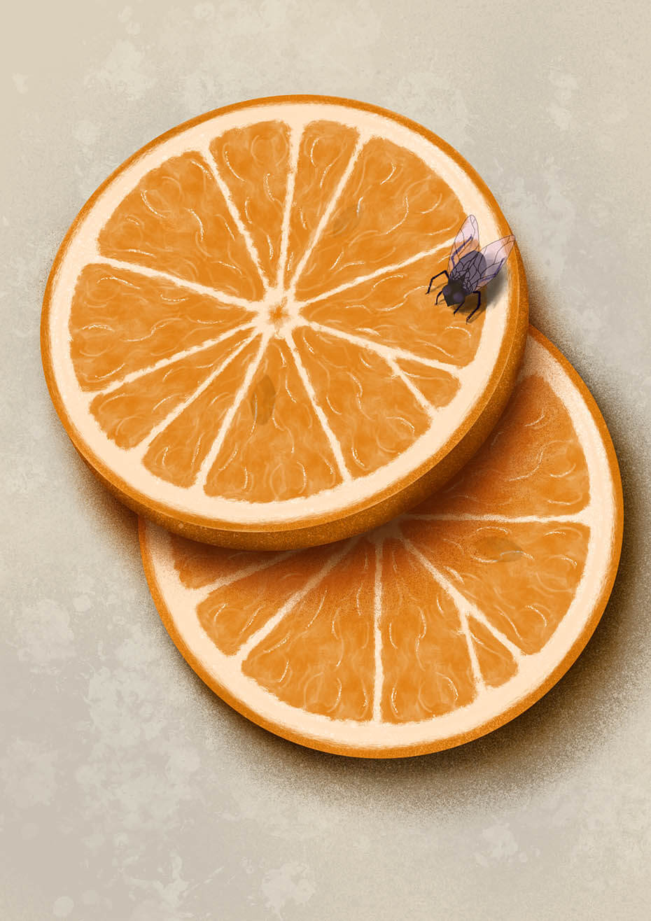 Rodajas