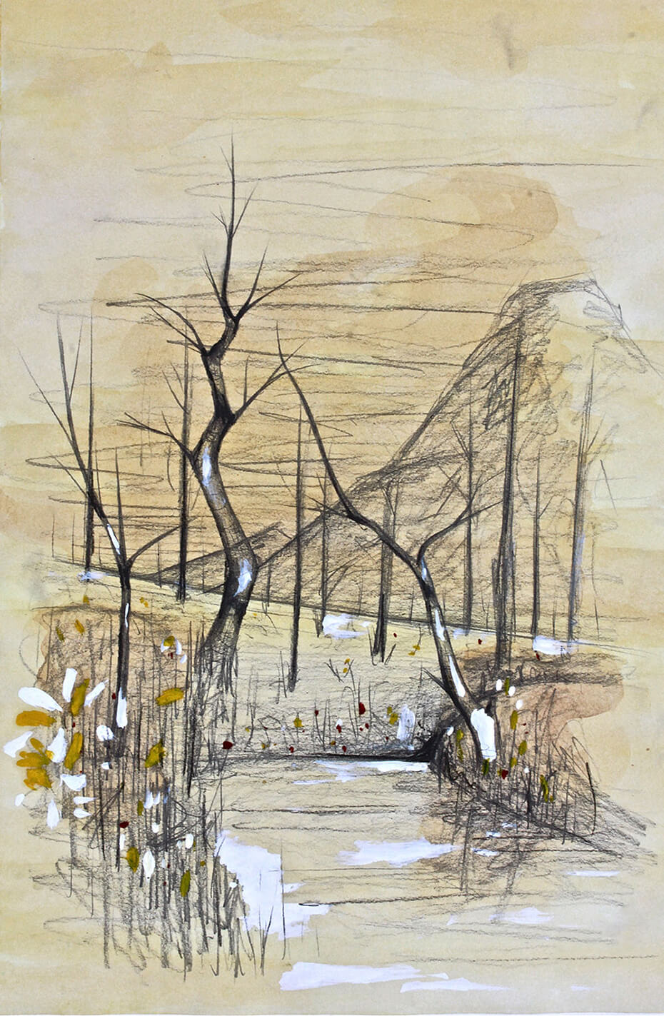 Paisaje