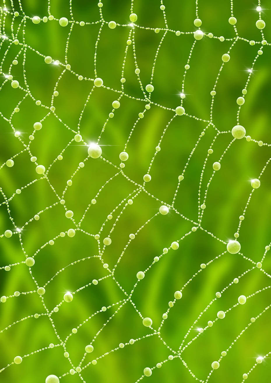 Telaraña
