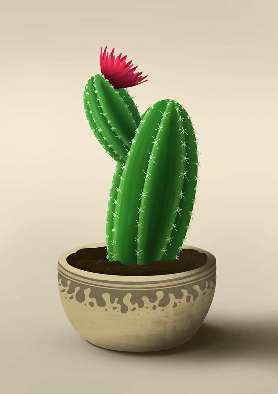 Cactus